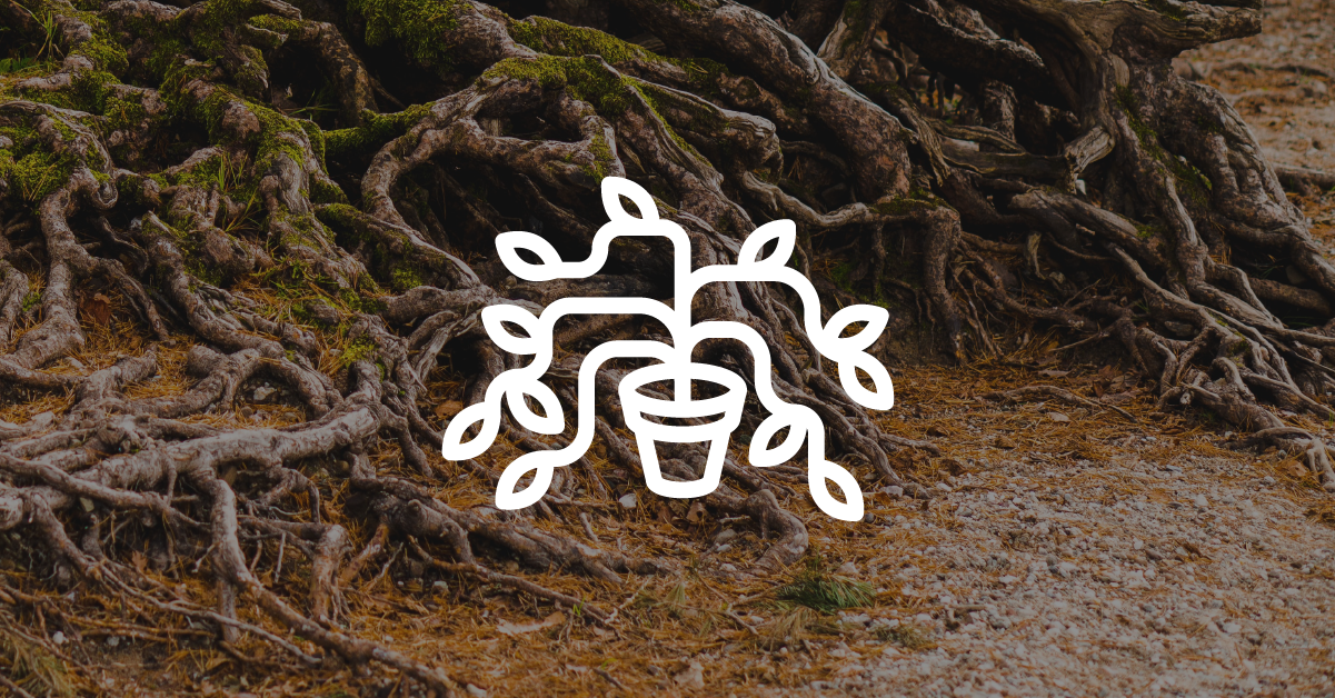 Roots