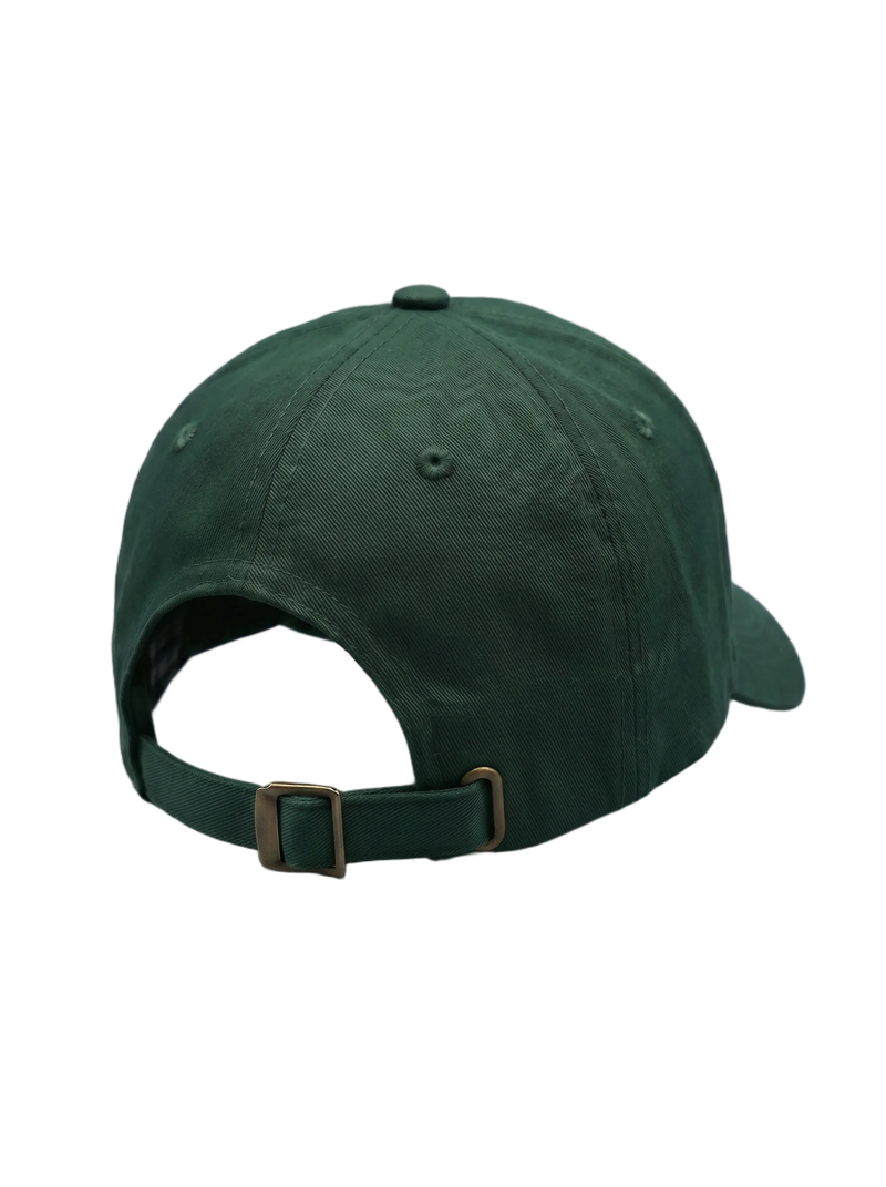 CAPTCHA v2 Hat - Pine embroidered cap from Miscreants — back view with snap closure